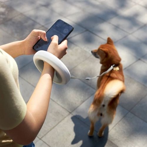 Hundesnor med LED Lys
