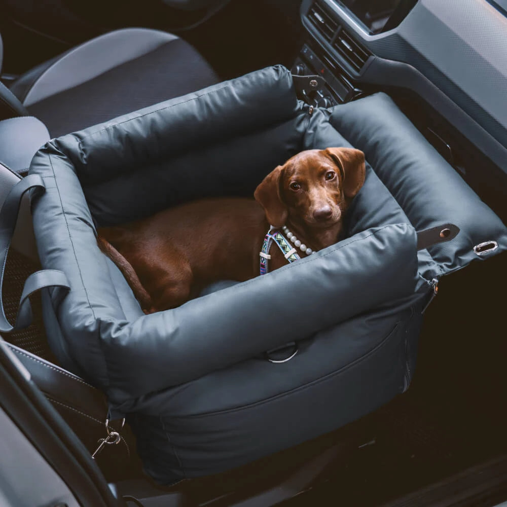 Bilsæde og hundeseng med sikkerhedsspænde